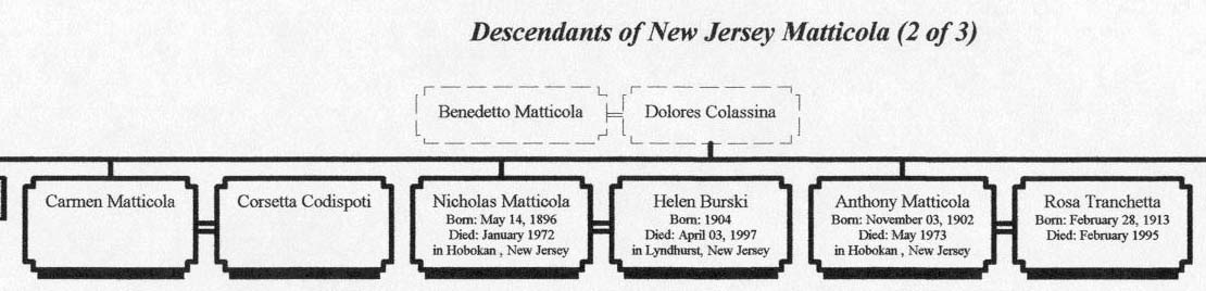nj2.jpg (190094 bytes)
